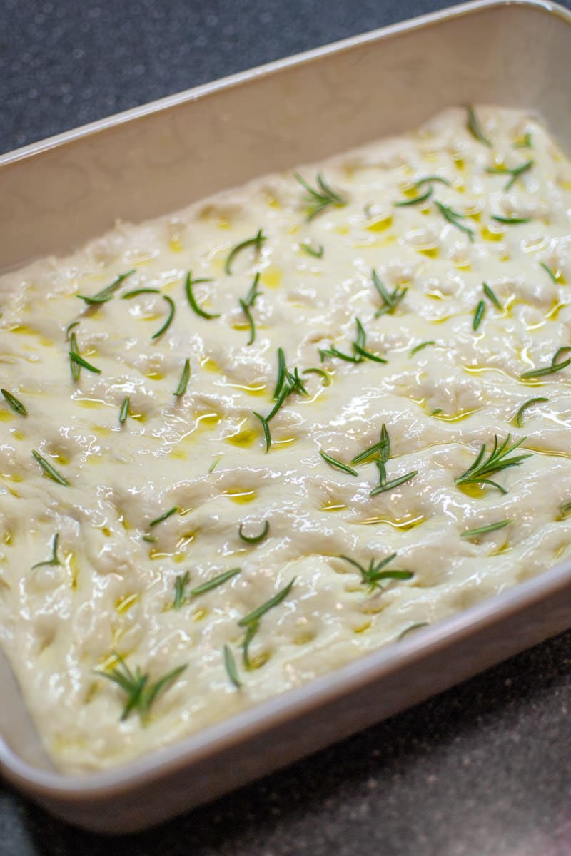 Focaccia Bread dough in a traybake with rosemary and olive oil.