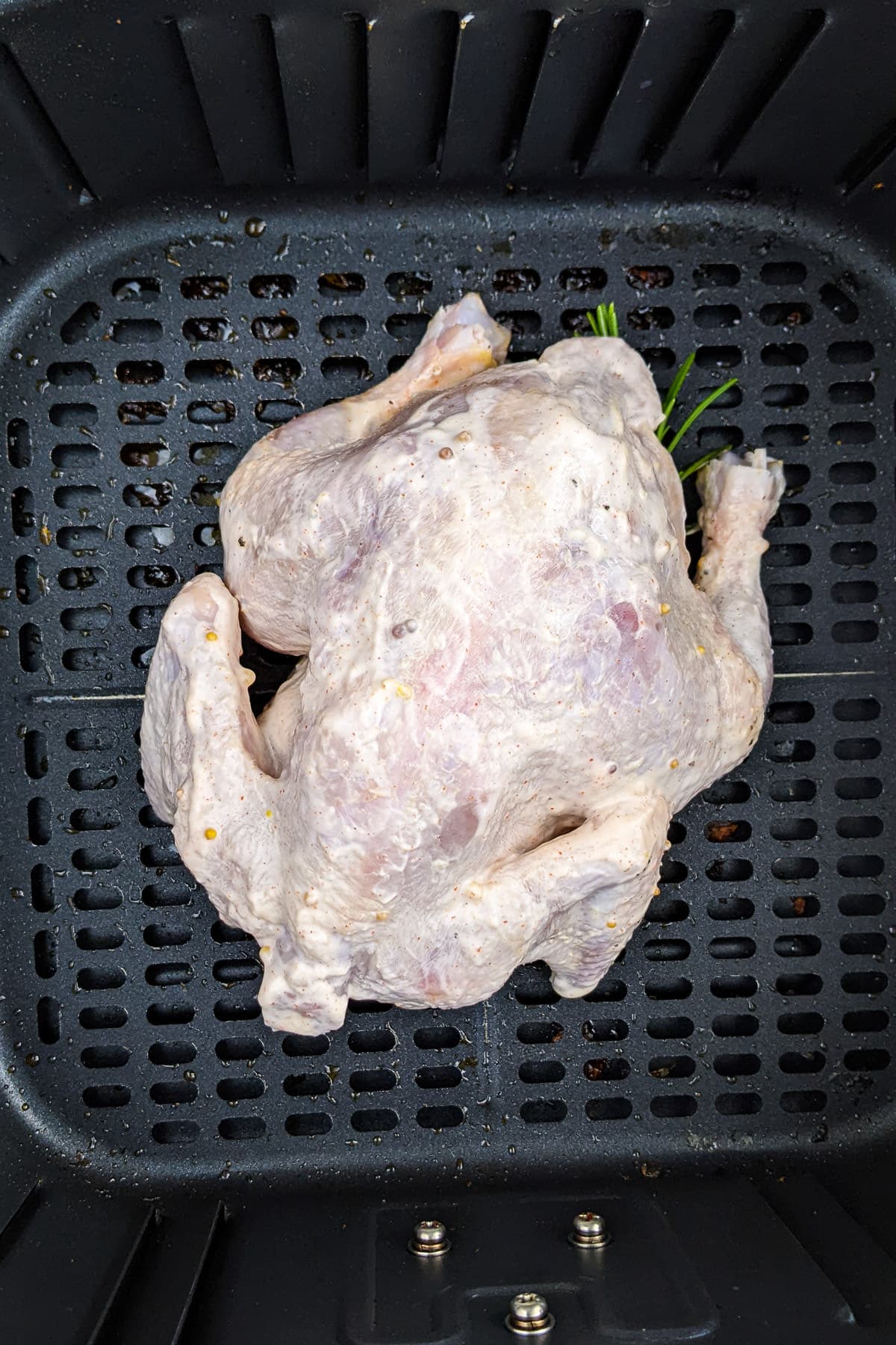 Top look of marinated cornish hen in an air fryer basket.