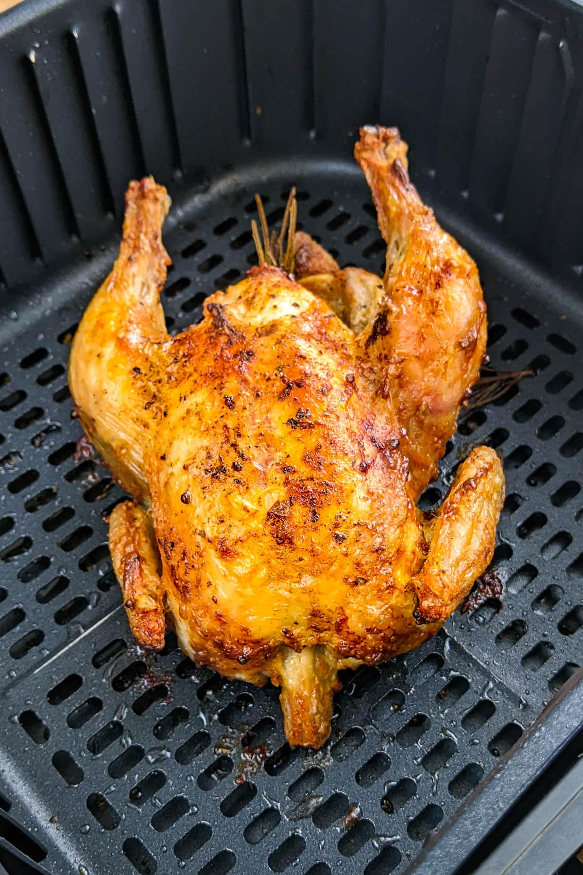 Close look of roasted cornish hen on an air fryer basket.