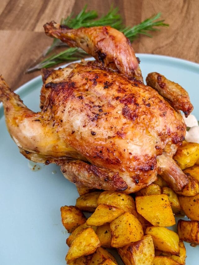 Whole roasted cornish hen near with diced potatoes.
