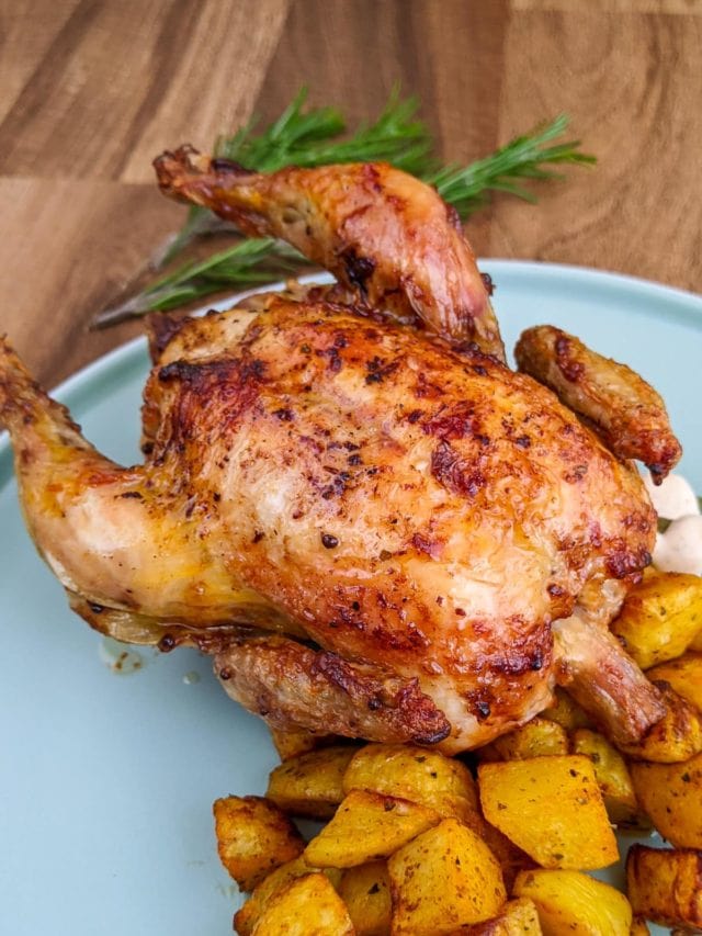 Close look of cornish hen roasted in air fryer and served with potatoes.