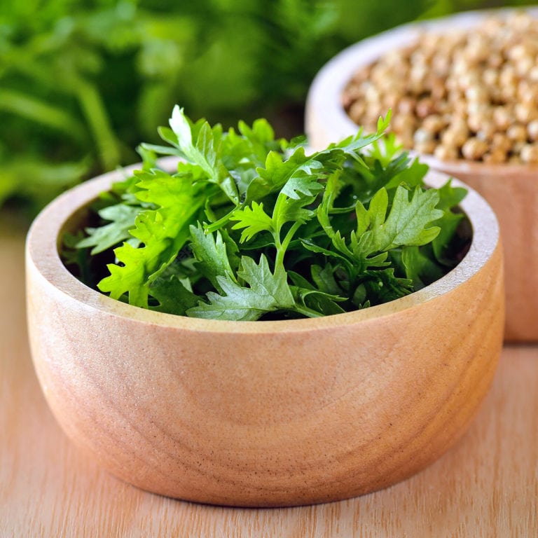 Two wooden plates with coriander leaves and seeds.