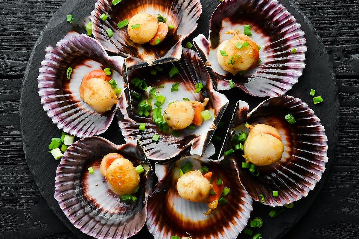 Top view or cooked scallops with chopped green onions.