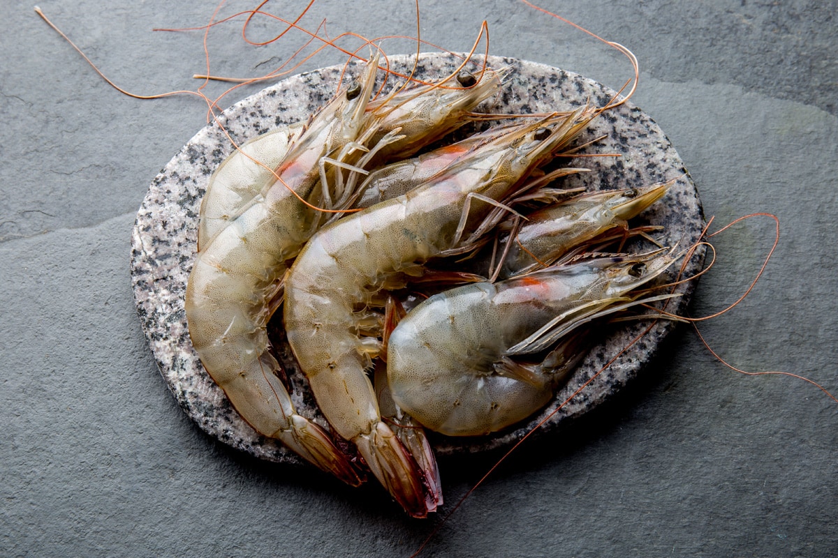 Plate with defrosted prawns on a concrete table.