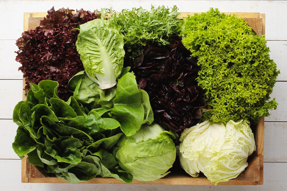Different types of lettuce to use for sandwiches on a cutting board.