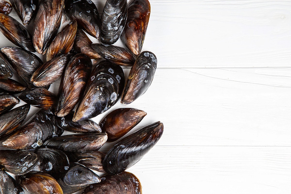 Fresh mussels on white wooden table.