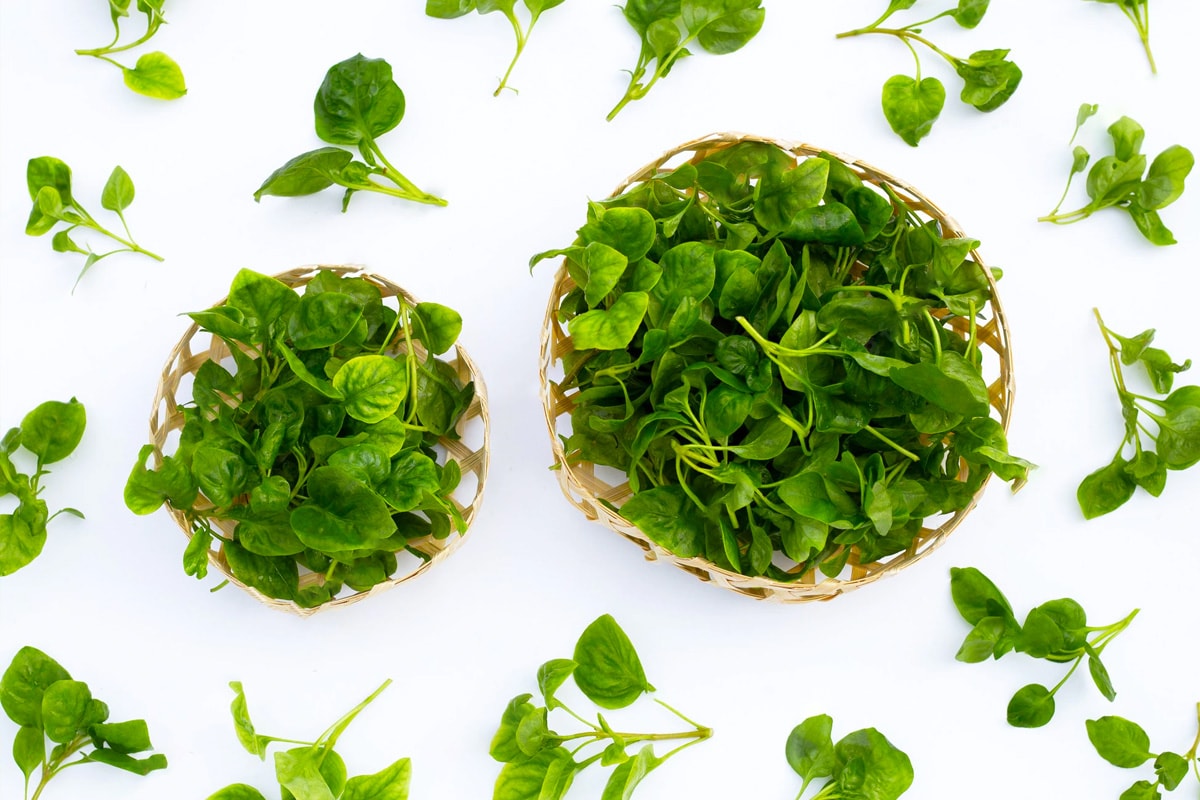 Top view of wooden basket with watercress leaves on white.