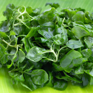 Close look of watercress leaves on green background.