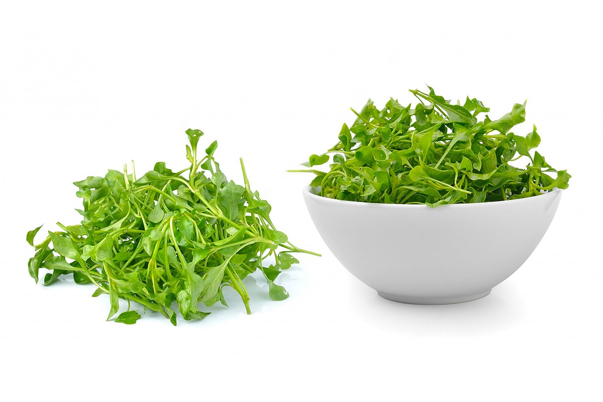 White plate with fresh watercress leaves isolated on white background.
