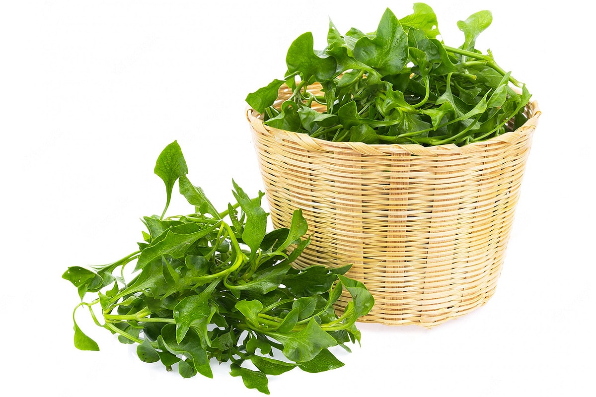 Wooden basket with fresh watercress leaves.