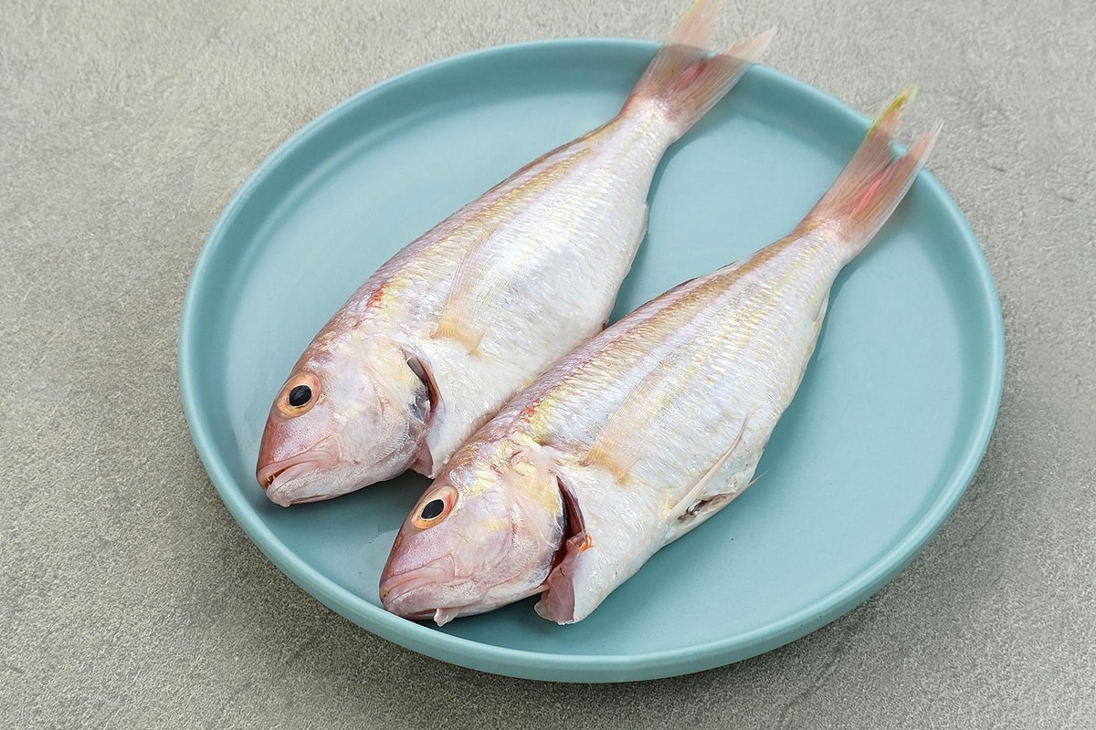 Two cleaned croaker fishes on a blue plate.