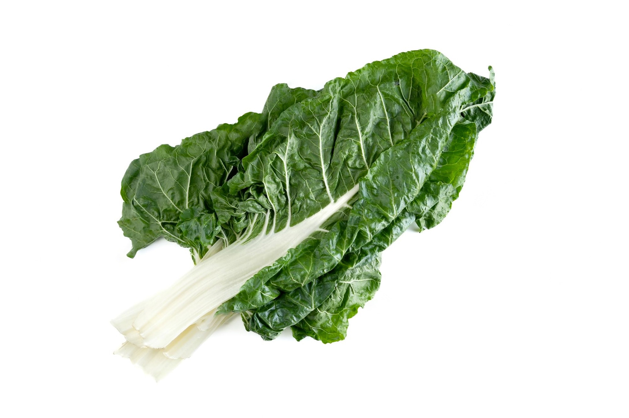 Silverbeet leaves isolated on a white background.