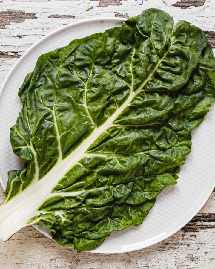 Top view of a silverbeet leaf on a white plate.