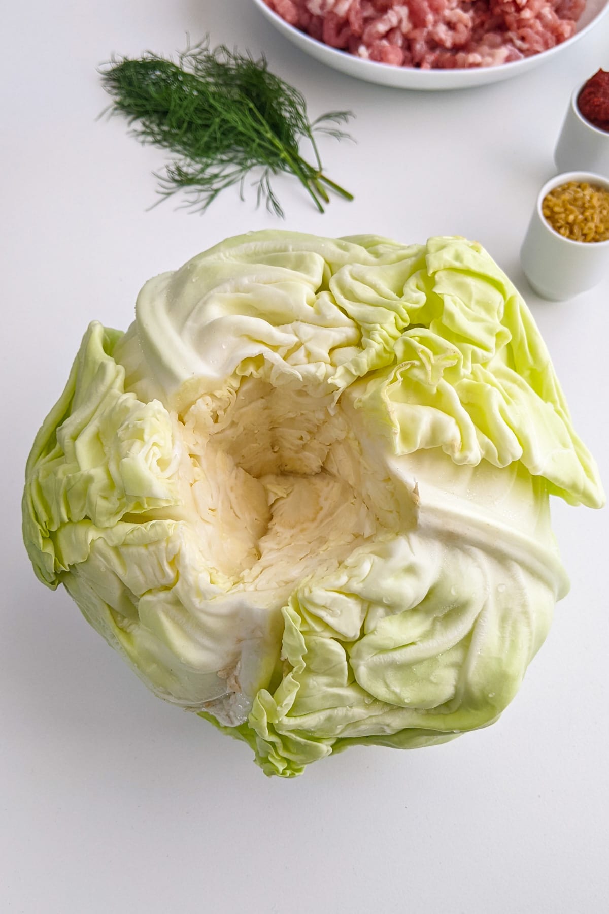 Cleaned cabbage on a white table with a few dill leaves and minced meat.