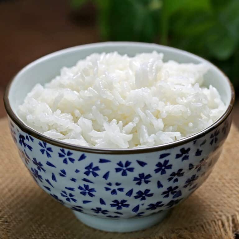 Close look of a white plate with boiled white rice.