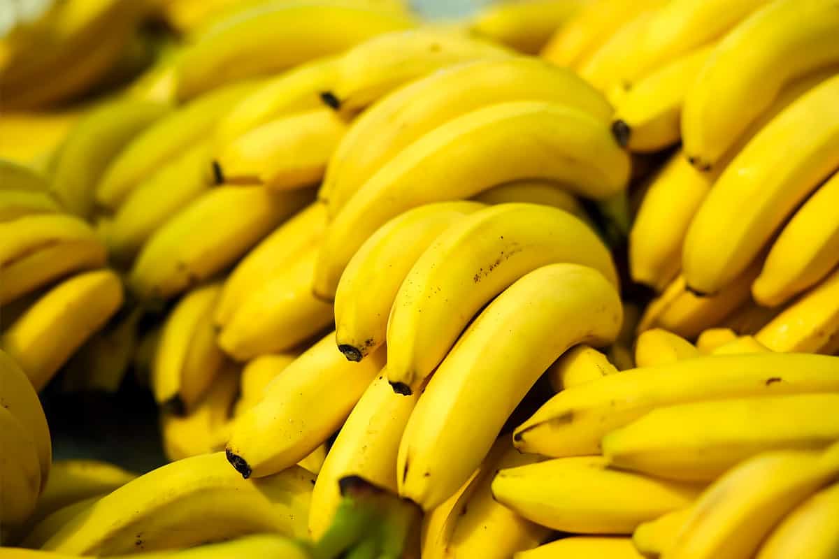 Close look of a bunch of bananas.