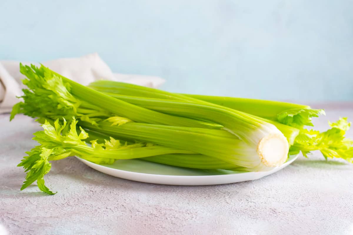 Close look of a celery stalks on a light blue background.