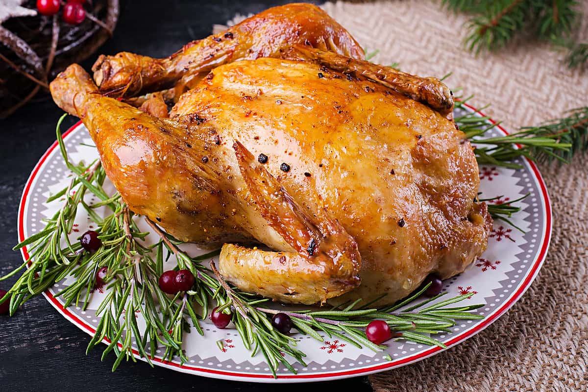 Close look of cooked turkey with cranberries on a festive plate.