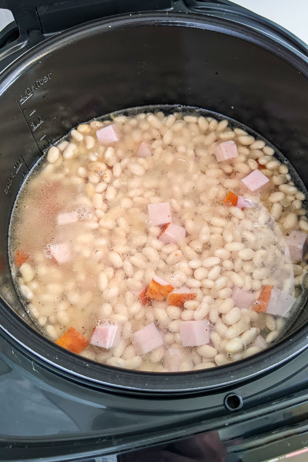 Ham and beans stew covered with a cup of water.
