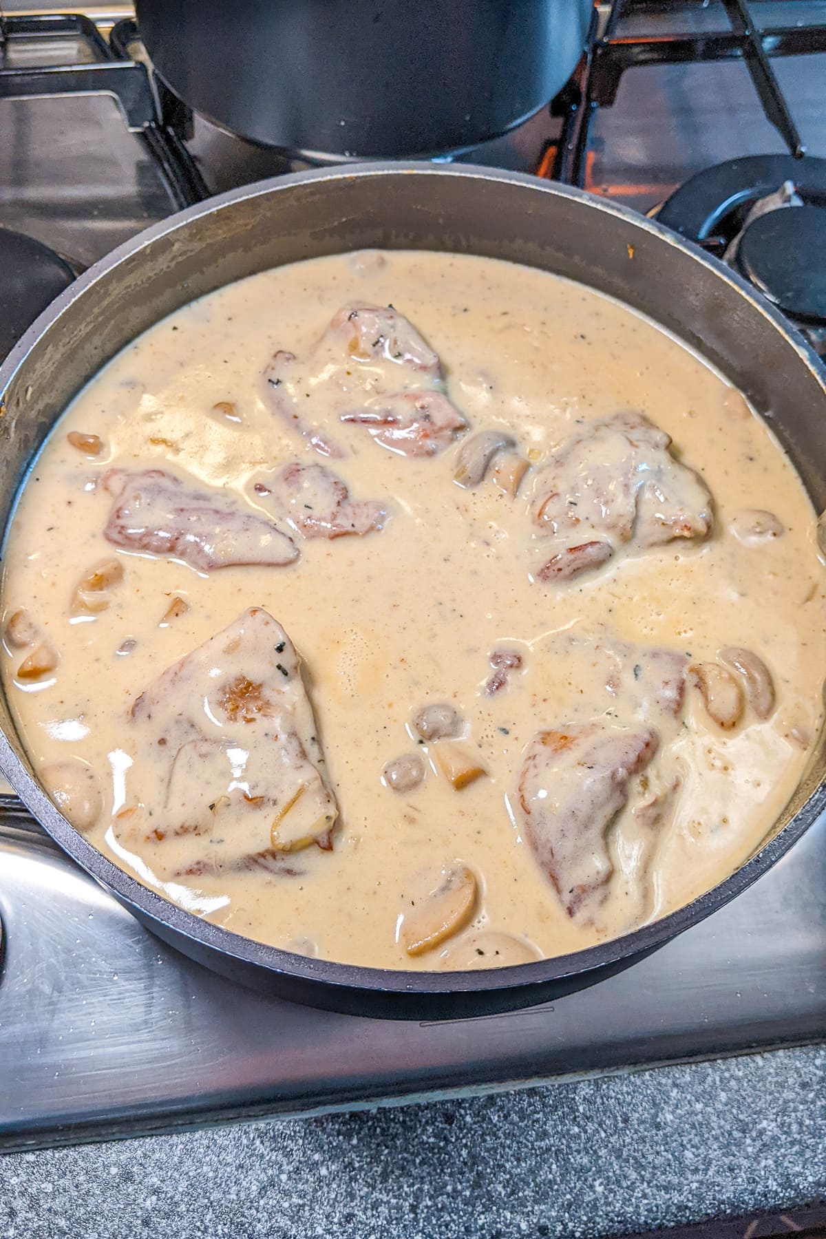 Turkey fricassee on a deep pan on the stove.