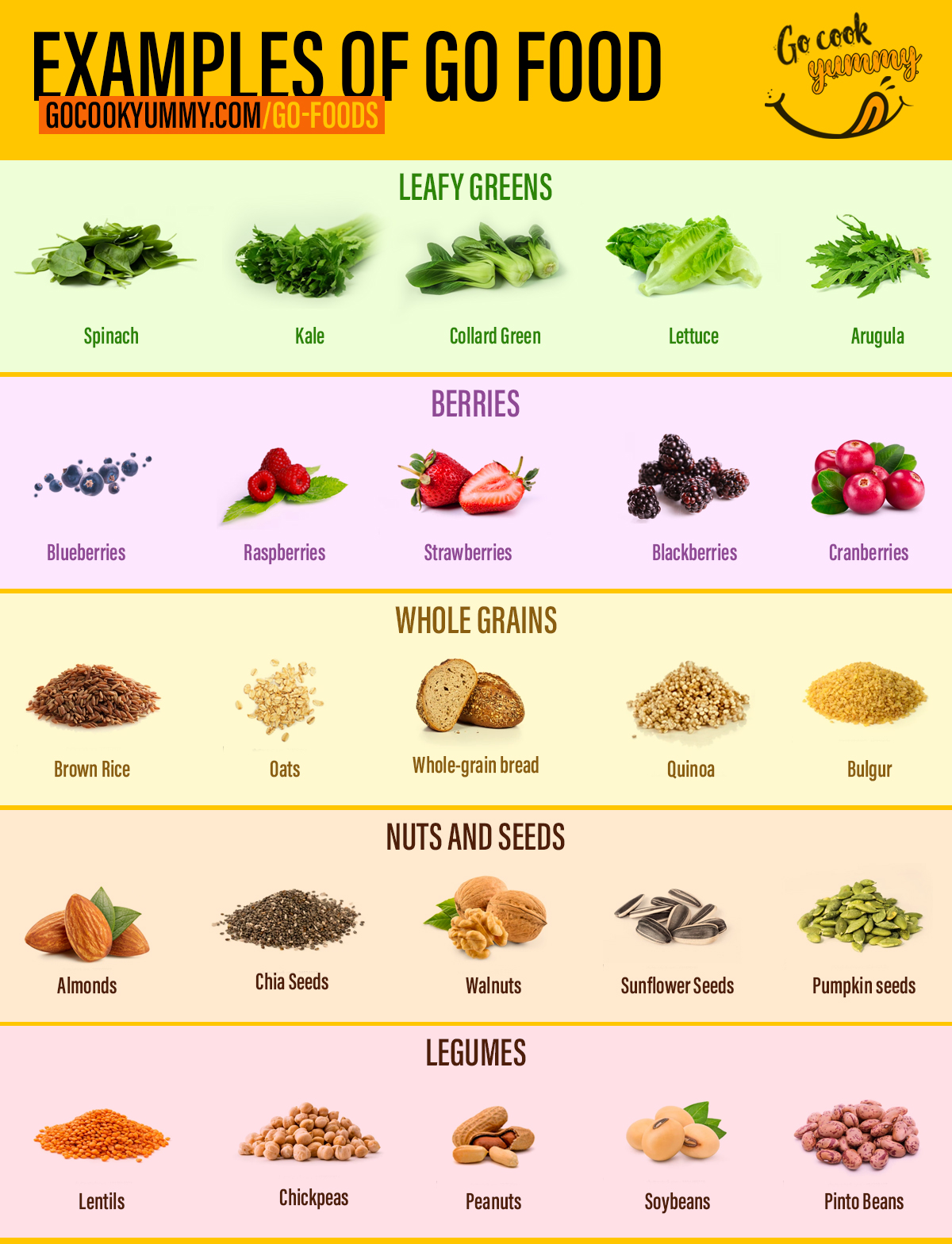 Infographic of different food examples with text and images.