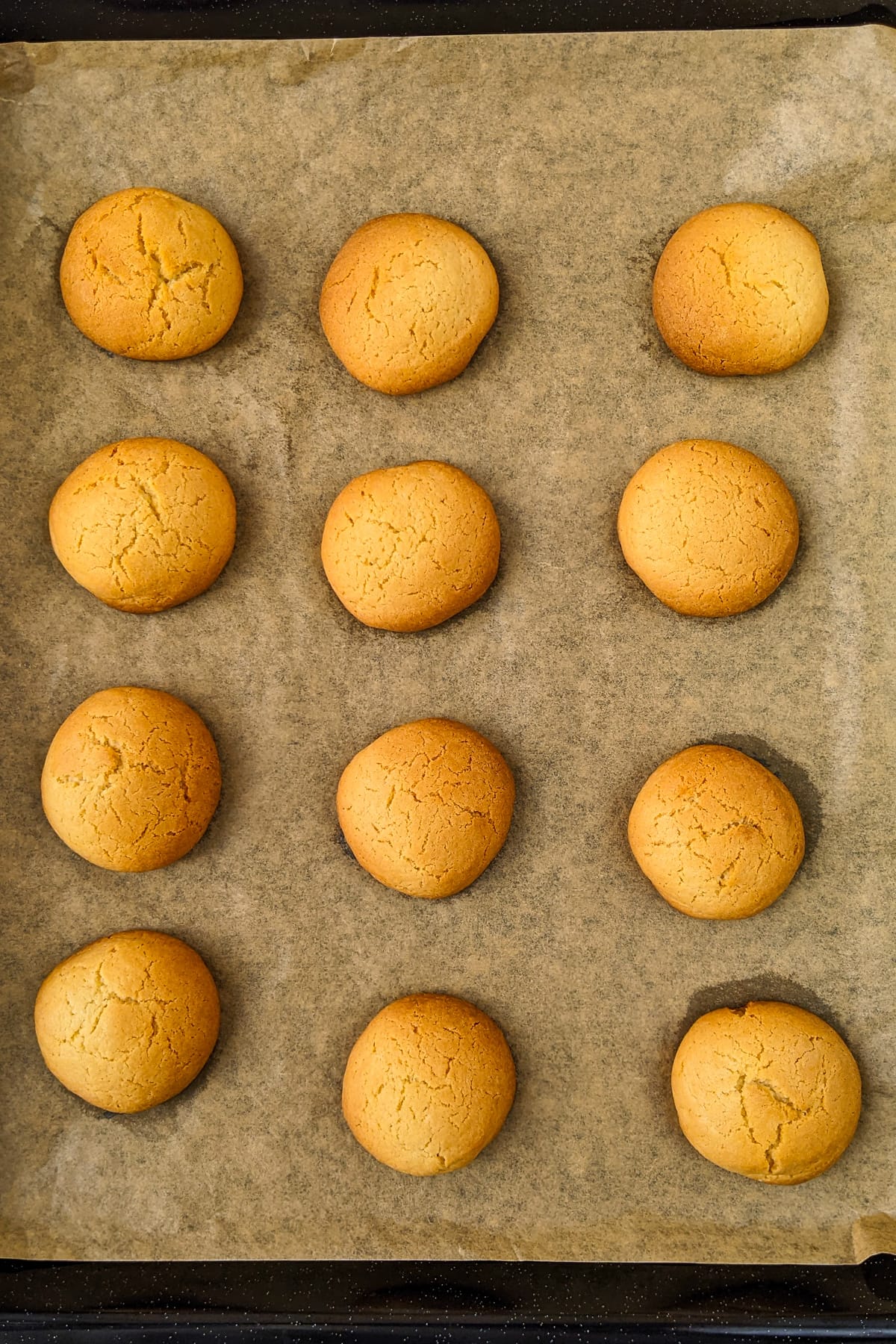 Top view of baked sugar cookies on a traybake.