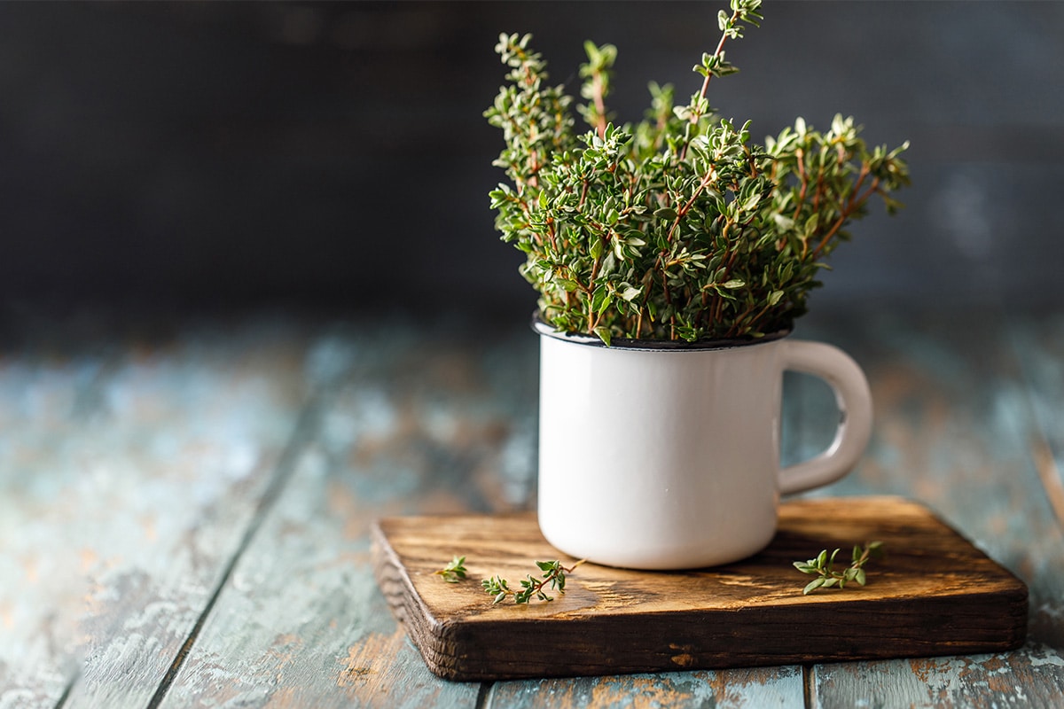 Close look of fresh thyme in a metal cup sitting on a wooden board.