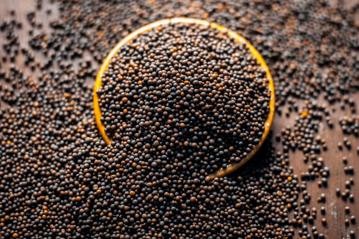 Close look of black mustard seeds on a wooden table.