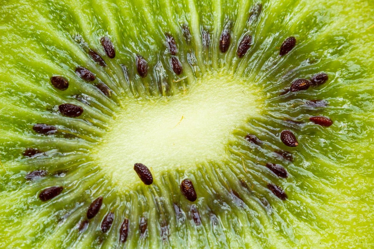 Macro look at kiwi seeds.