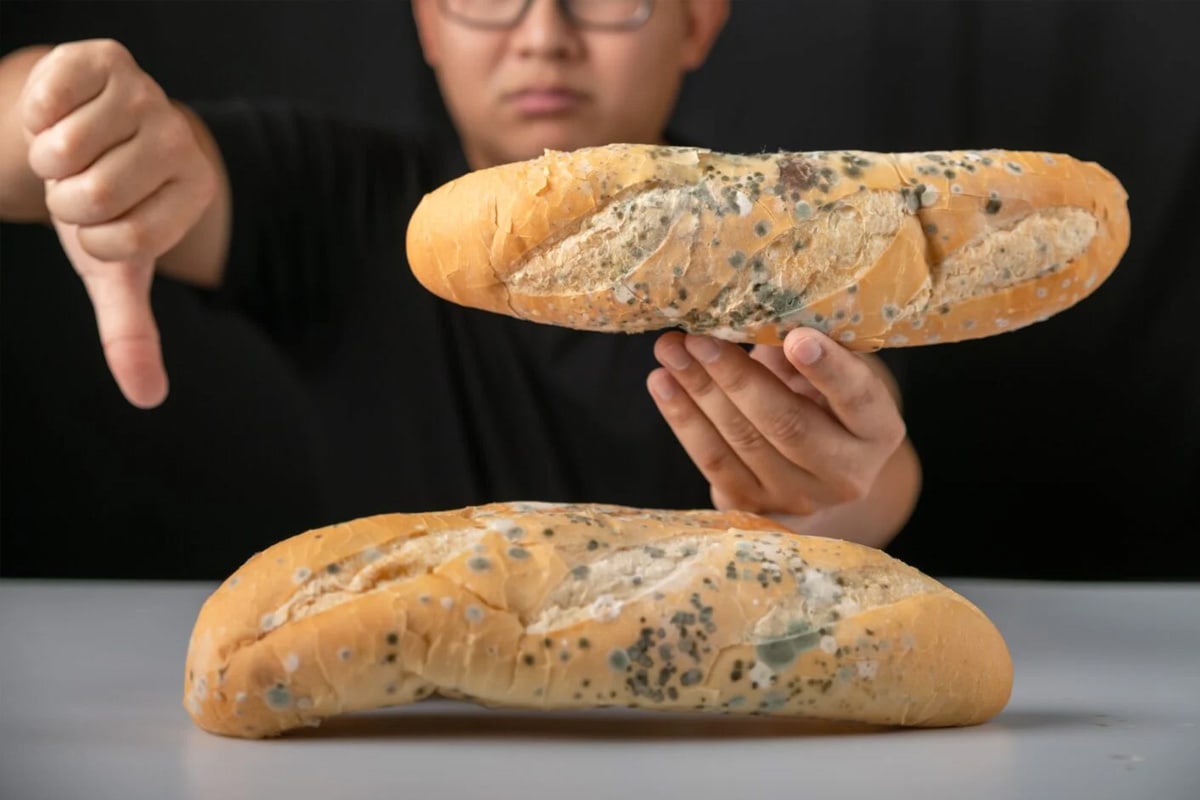 A man holding a baguette with mold on it and pointing down with his hand.