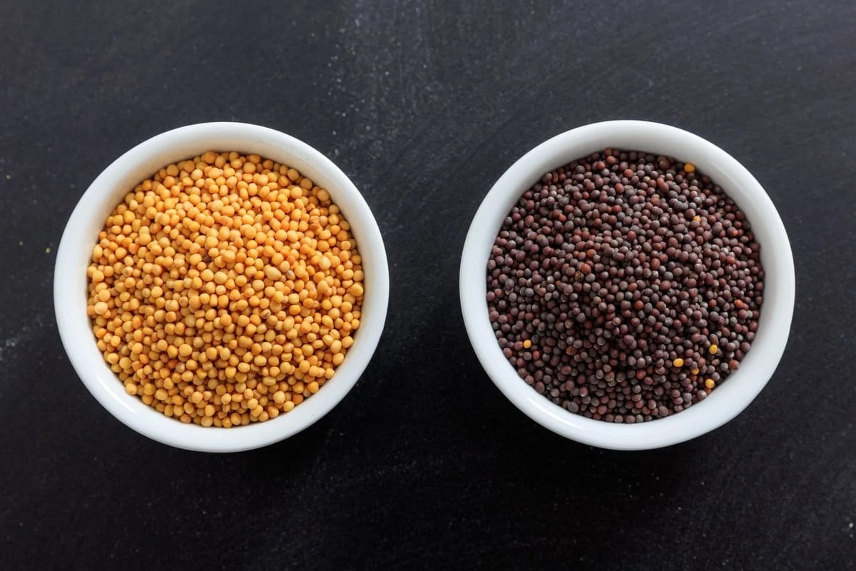 One plate with yellow mustard seeds near another plate with black mustard seeds.