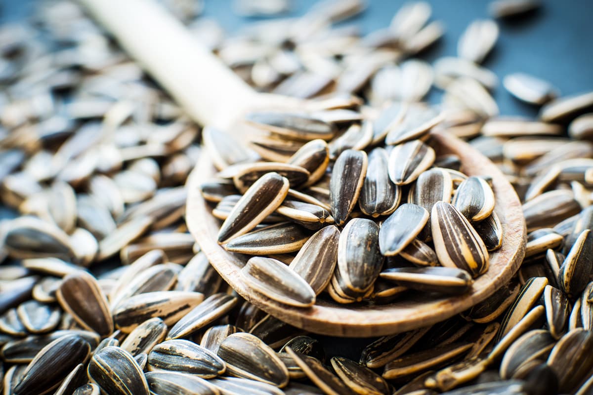 Macro view of a spoon with raw sunflower seeds.