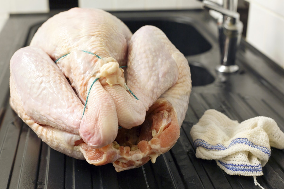 A close look at thawed turkey tied with a rope.