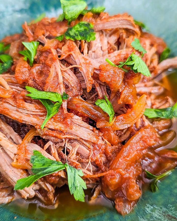 Close look of pulled beef with parsley in a green plate.