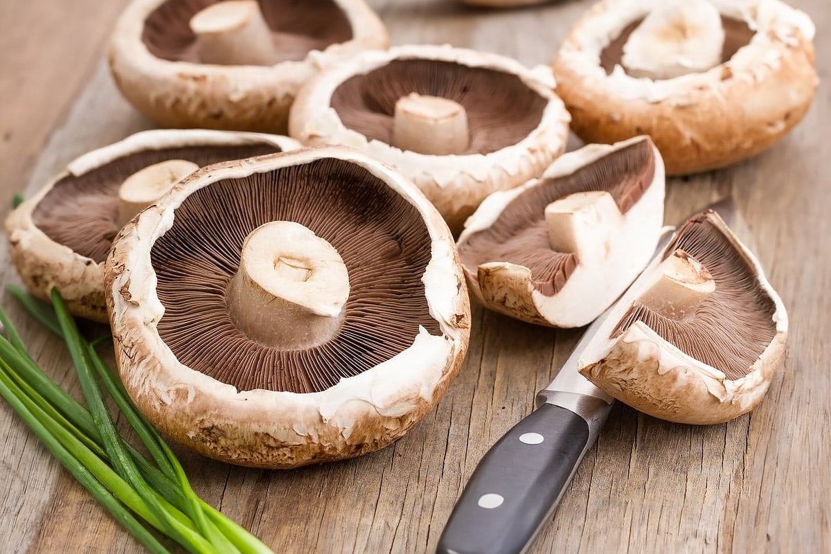 Close look of raw portabellow mushrooms on a wooden table.