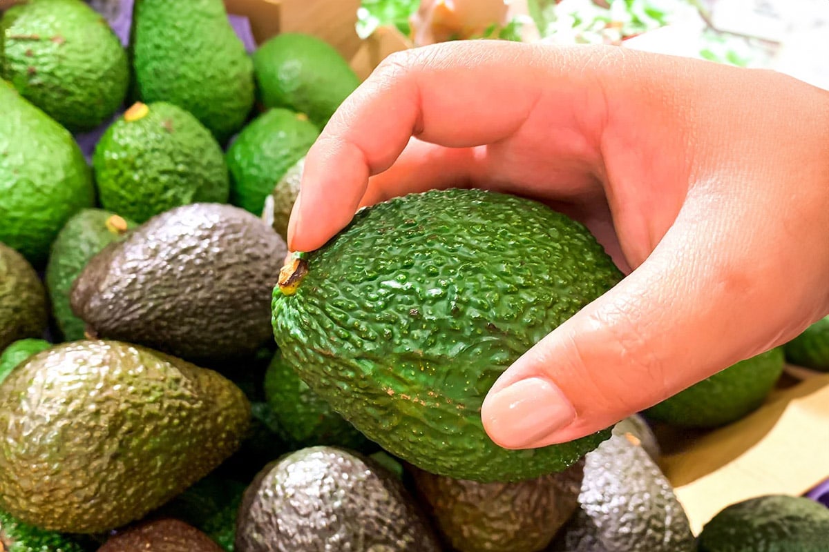 Woman hand picking a green avocado.