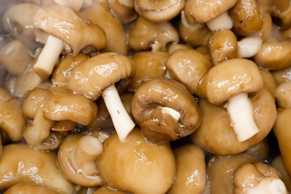 Top view of a white ceramic bowl with steamed mushrooms.