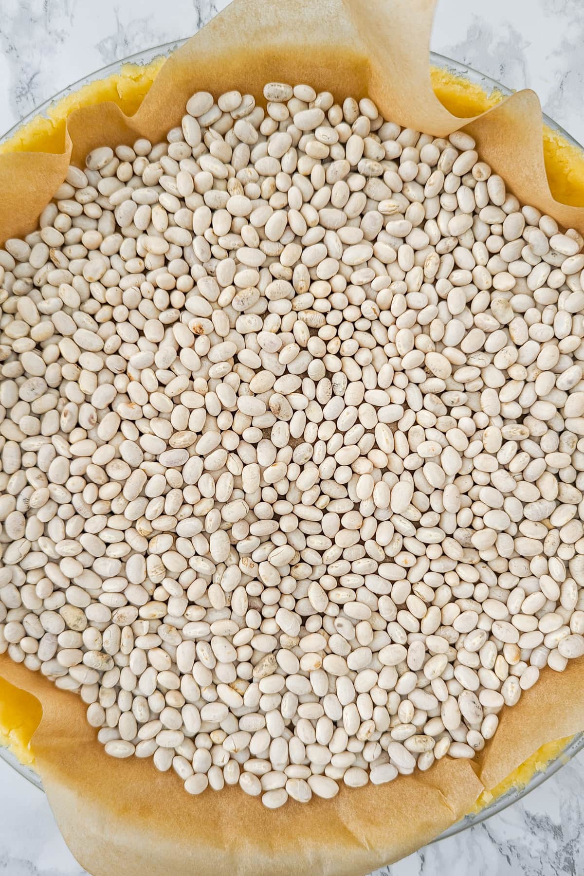 Top view of white beans arranged in a parchment paper in a baking dish.