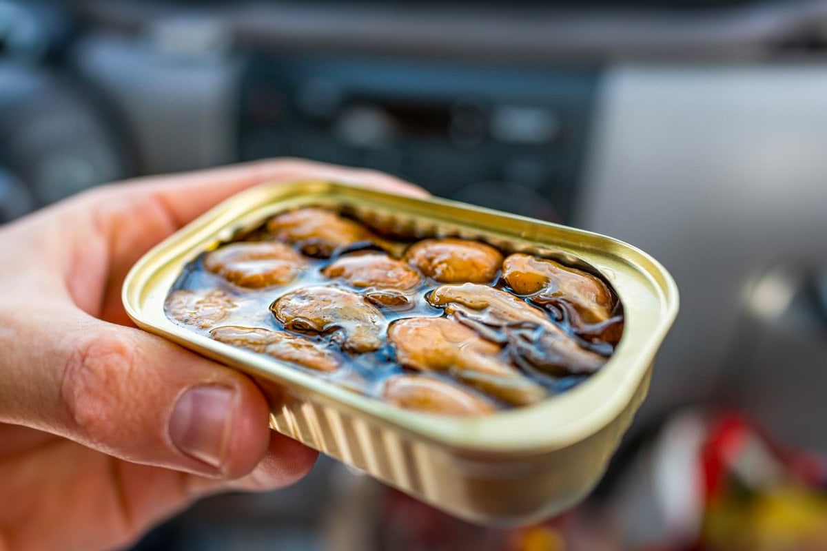 A man hand holding a can with canned oysters in oil.
