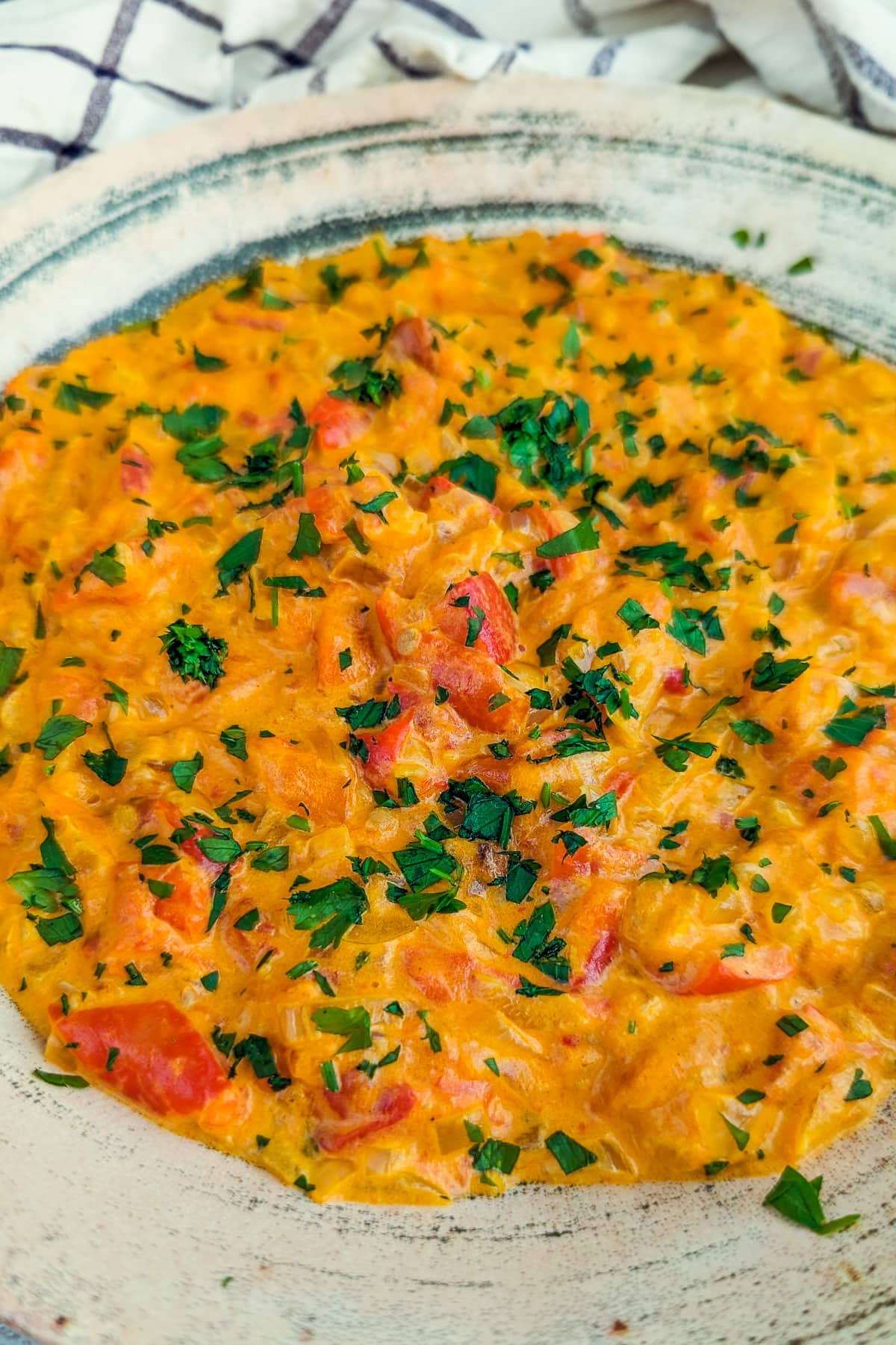 Close look of a vintage plate with tomato and onion dip and freshly chopped parsley.