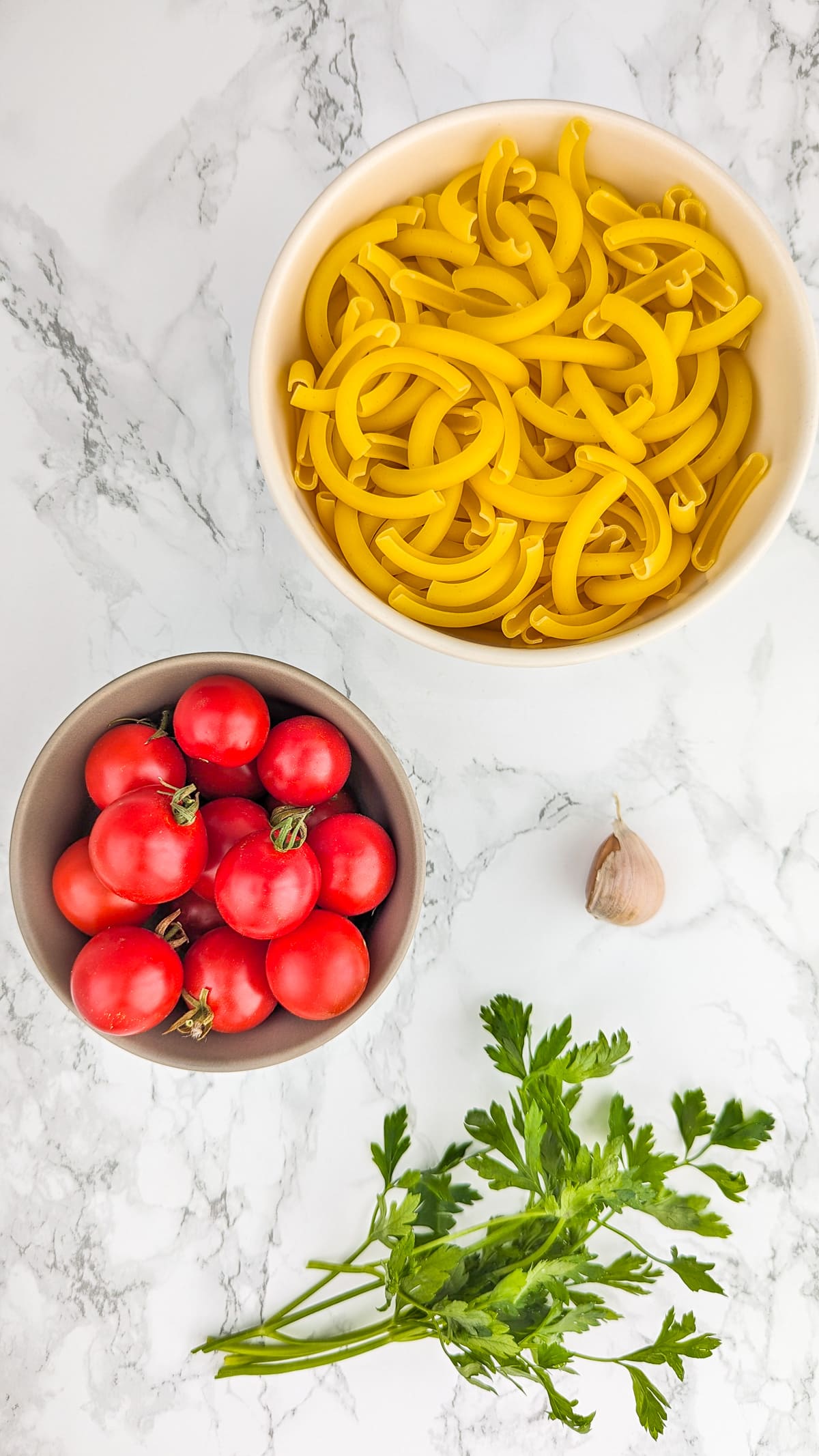 Top view of a white plate with pasta, tomatoes, parsley and garlic on a white marble table.