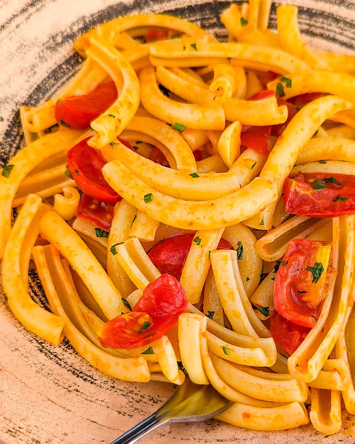 Close look of a vintage plate of pasta with tomatoes, garlic and parsley.