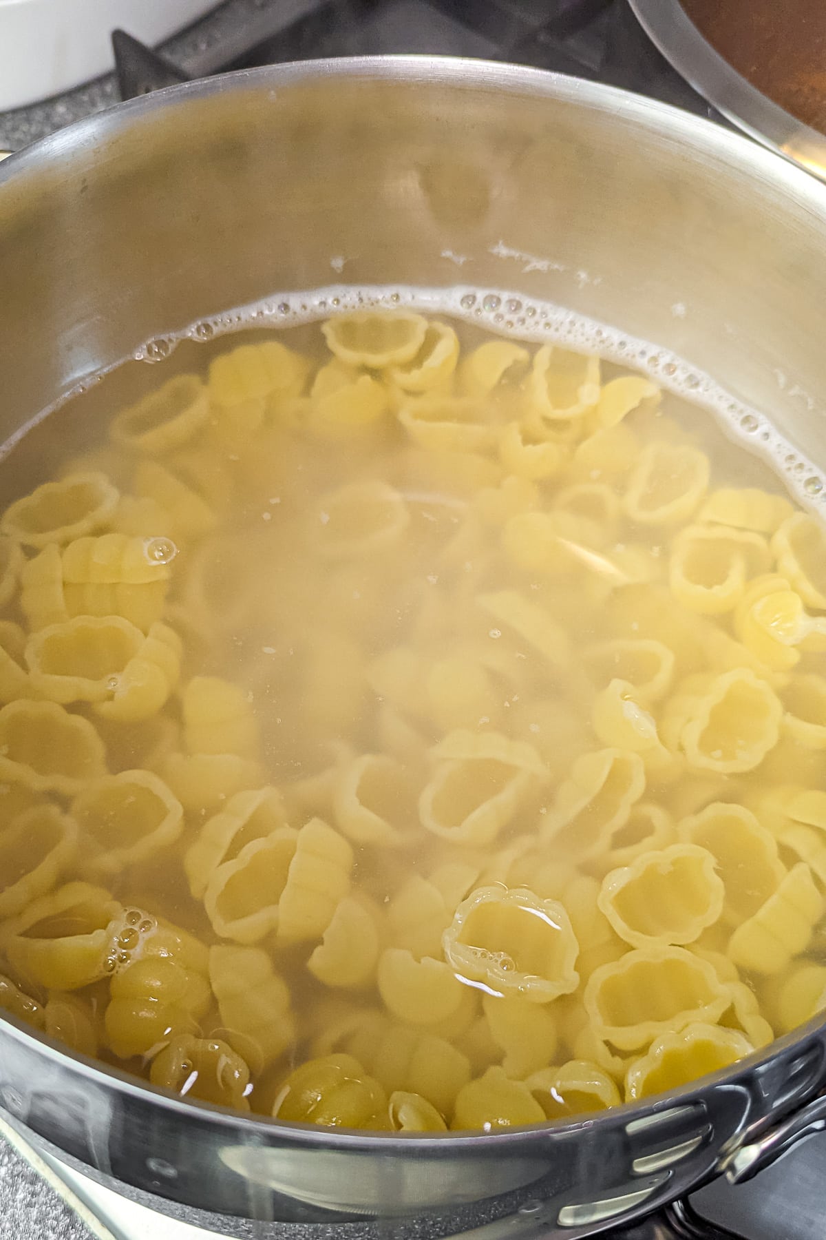 Cooking pasta shells in boiling water in a stainless steel pot.